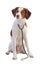 Brittany spaniel with a stethoscope
