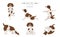 Brittany spaniel yoga. Yoga dogs poses and exercises