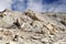 Brittle and highly fractured granite rocks near Khardung la (pass)