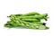 Broad bean