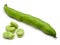 Broad Beans