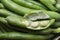 Broad beans close up, green, raw and fresh shelled fava beans and seed pods