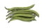 Broad beans Vicia faba var. major in pods