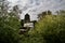 Broad Eye Windmill through the trees