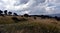 Broad panorama of the countryside in Snowy Mountains