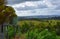 Broad panorama of the countryside on Sunshine Coast