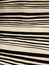 Broad to thin ink lines on off white paper - line study - amateur work - mood board