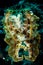 Broadclub cuttlefish sefia latimanus close up kapoposang indonesia scuba diving diver