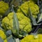 Broccoflowers or green cauliflowers