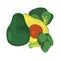 broccoli avocado fresh food icon vector ilustrate