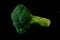 Broccoli on a black background isolated