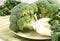 Broccoli and bok choy horizontal