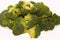 Broccoli (Brassica oleracea var. italica), an edible green plant in the cabbage family (family Brassicaceae