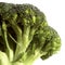 Broccoli Cabbage, brassica oleracea against White Background