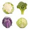 Broccoli,cabbage,cauliflower.