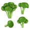 Broccoli cabbage icon set, realistic style
