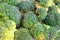 Broccoli close up texture background