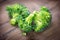 Broccoli. Closeup of fresh green broccoli bunch