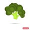 Broccoli color icon for web and mobile design