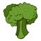 Broccoli color logo