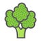 Broccoli colorful line icon, vegetable