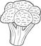 Broccoli coloring page hand drawn illustration