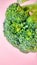 Broccoli is a cultivar of the same species as cabbage and cauliflower, namely Brassica oleracea