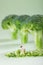 Broccoli and Farmer`s toy