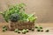 Broccoli, fennel, parsley branches in a wicker basket