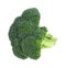 Broccoli Floret On White Background