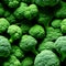 Broccoli florets seamless food background