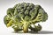 Broccoli florets, uncooked, on a white background