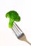 Broccoli on a fork