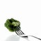 Broccoli & Fork