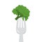 Broccoli on the fork isolated. Element for cafe
