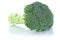 Broccoli fresh vegetable isolated