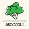 Broccoli hand-drawn style.