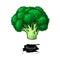 Broccoli hand drawn vector illustration. Vegetable drawing. Isol