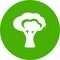 Broccoli icon