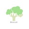 Broccoli icon vector. Isolated cauliflower vegetable linear style for menu, label, logo.