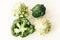 Broccoli inflorescence and roman cauliflower and on white background isolated with space for text