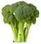 Broccoli isolated on white