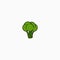 Broccoli Logo Icon Design Template - Vector