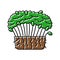 broccoli microgreen color icon vector illustration
