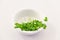 Broccoli microgreens super food in a simple white dish isolated
