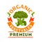 Broccoli organic healthy vegetable emblem