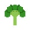 Broccoli pixel art. Vegetable 8 bit. Pixelate vector illustration