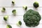 Broccoli and scattered pieces on a white table, top view.