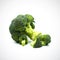 Broccoli separate pieces  on the white blackground