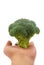 Broccoli Series 02